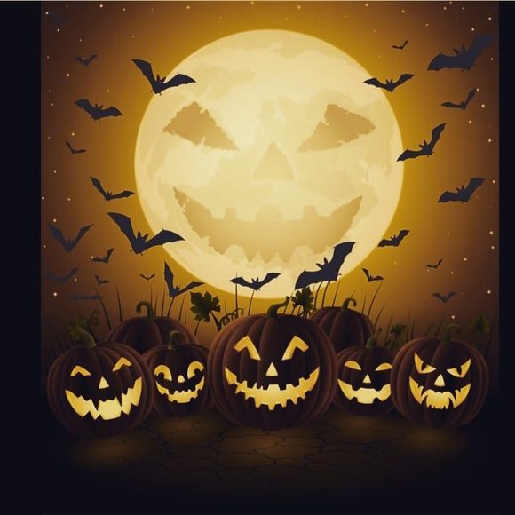 Meet your Posher, Brandy - Picture 1 of 1